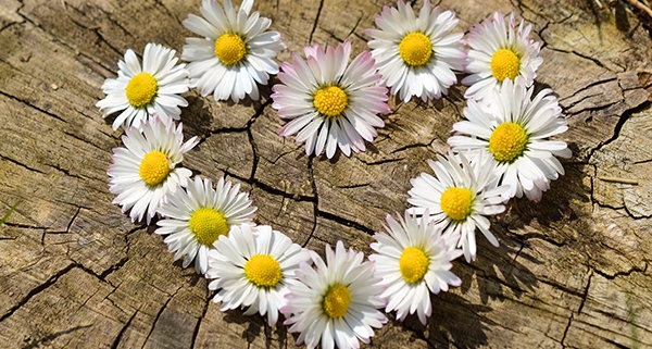 Arriva la primavera