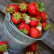 Fragole e loro proprietà