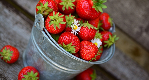 Fragole e loro proprietà