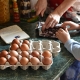 Gestione del bambino a tavola