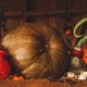 Zucca