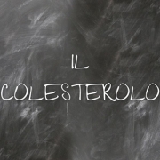 Il colesterolo