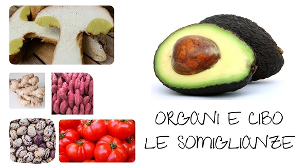 Organi e cibo le somiglianze