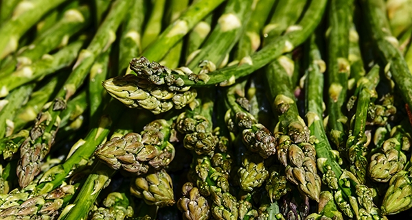 Tempo di asparagi