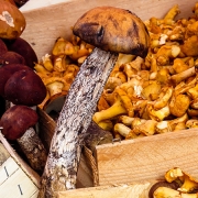 Frutti d'autunno I funghi