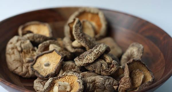 Funghi medicinali