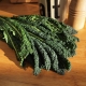 Il cavolo nero